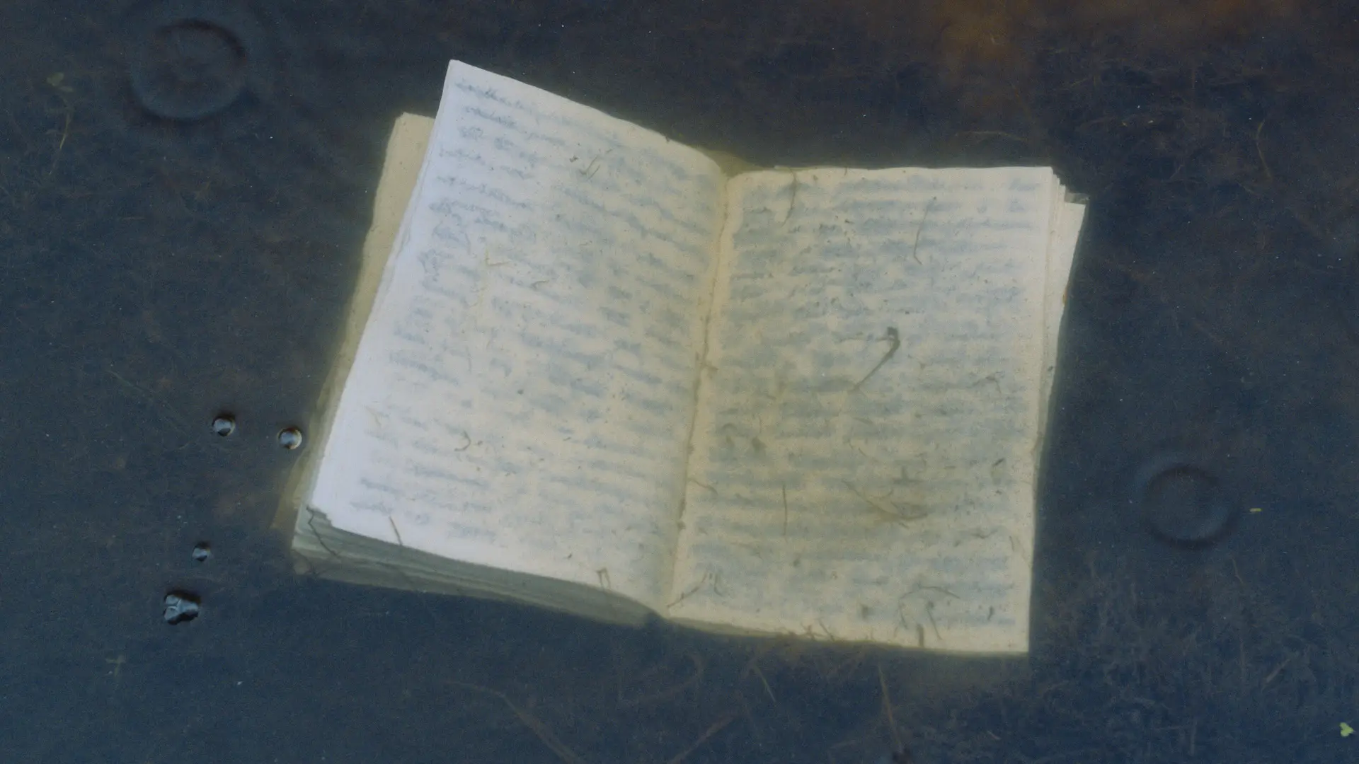 Film still from The Tears of Things, directed by Kate Voet